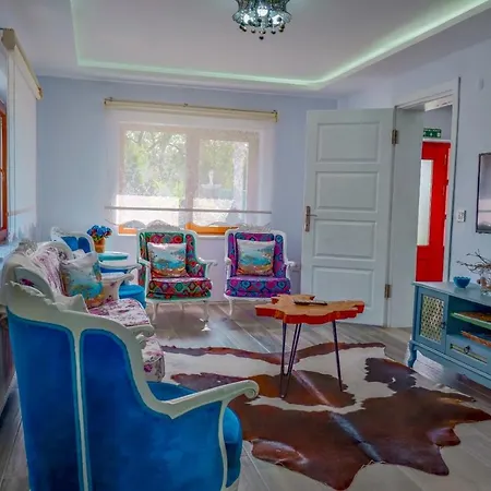 Villa Kocbey Butik Sapanca *